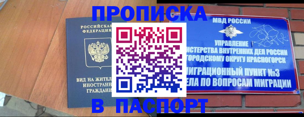 найти адрес прописки в Тогучине